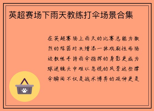 英超赛场下雨天教练打伞场景合集