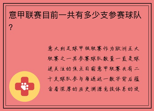 意甲联赛目前一共有多少支参赛球队？